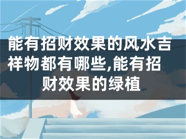 能有招财效果的风水吉祥物都有哪些,能有招财效果的绿植