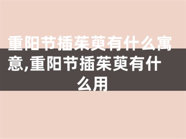 重阳节插茱萸有什么寓意,重阳节插茱萸有什么用