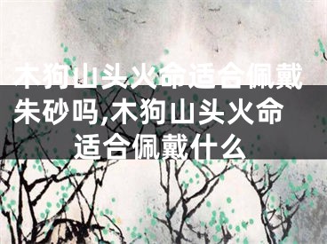 木狗山头火命适合佩戴朱砂吗,木狗山头火命适合佩戴什么