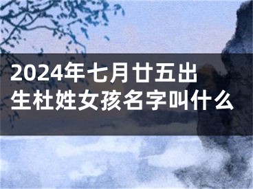 2024年七月廿五出生杜姓女孩名字叫什么