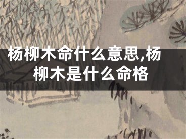 杨柳木命什么意思,杨柳木是什么命格