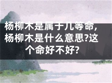 杨柳木是属于几等命,杨柳木是什么意思?这个命好不好?