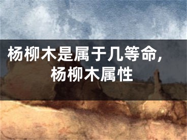 杨柳木是属于几等命,杨柳木属性