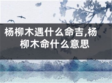 杨柳木遇什么命吉,杨柳木命什么意思