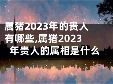 属猪2023年的贵人有哪些,属猪2023年贵人的属相是什么