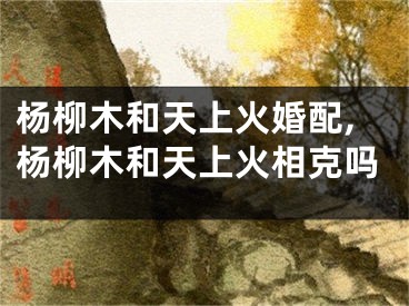 杨柳木和天上火婚配,杨柳木和天上火相克吗