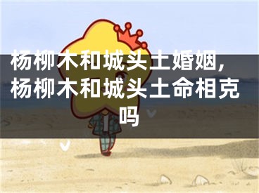 杨柳木和城头土婚姻,杨柳木和城头土命相克吗