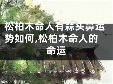 松柏木命人有蒜头鼻运势如何,松柏木命人的命运