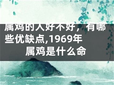 属鸡的人好不好，有哪些优缺点,1969年属鸡是什么命