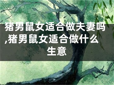 猪男鼠女适合做夫妻吗,猪男鼠女适合做什么生意