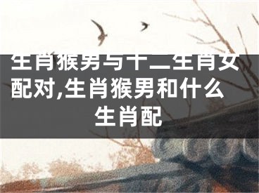生肖猴男与十二生肖女配对,生肖猴男和什么生肖配