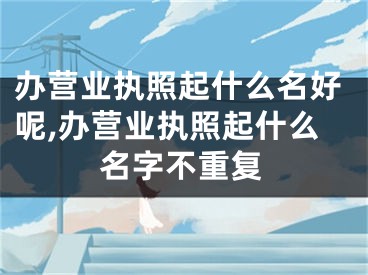 办营业执照起什么名好呢,办营业执照起什么名字不重复