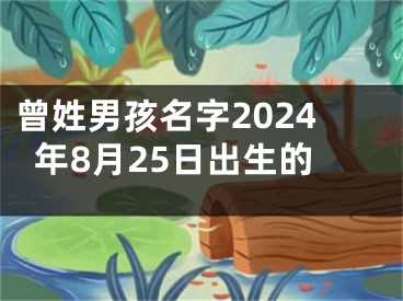 曾姓男孩名字2024年8月25日出生的