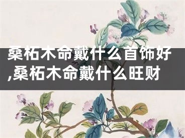 桑柘木命戴什么首饰好,桑柘木命戴什么旺财