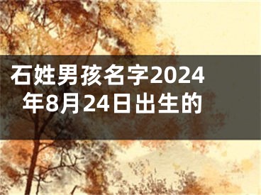 石姓男孩名字2024年8月24日出生的