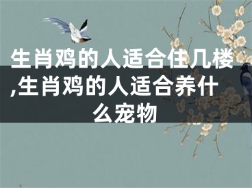 生肖鸡的人适合住几楼,生肖鸡的人适合养什么宠物