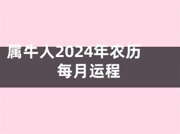 属牛人2024年农历每月运程