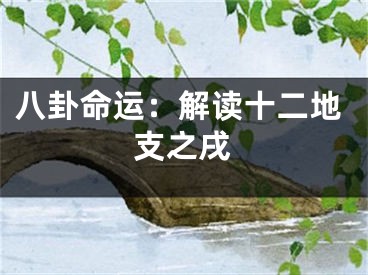 八卦命运：解读十二地支之戌