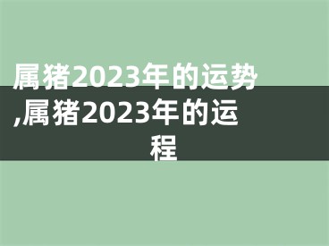 属猪2023年的运势,属猪2023年的运程