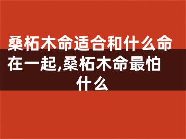 桑柘木命适合和什么命在一起,桑柘木命最怕什么