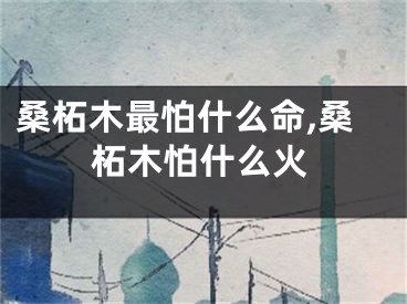 桑柘木最怕什么命,桑柘木怕什么火
