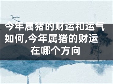 今年属猪的财运和运气如何,今年属猪的财运在哪个方向