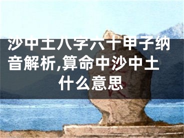 沙中土八字六十甲子纳音解析,算命中沙中土什么意思