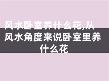 风水卧室养什么花,从风水角度来说卧室里养什么花