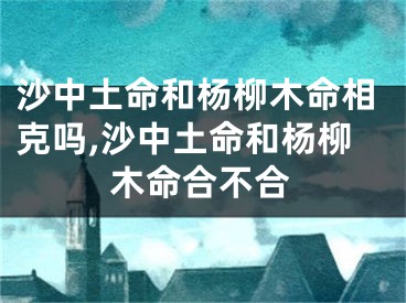 沙中土命和杨柳木命相克吗,沙中土命和杨柳木命合不合