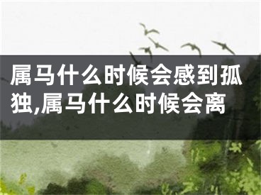 属马什么时候会感到孤独,属马什么时候会离
