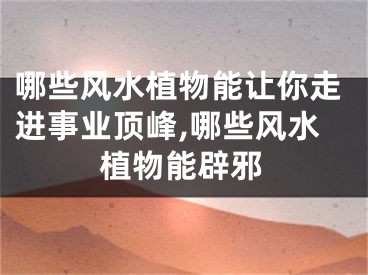 哪些风水植物能让你走进事业顶峰,哪些风水植物能辟邪