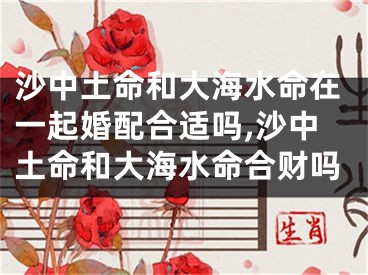 沙中土命和大海水命在一起婚配合适吗,沙中土命和大海水命合财吗