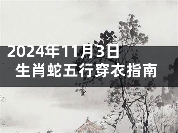 2024年11月3日生肖蛇五行穿衣指南