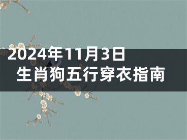 2024年11月3日生肖狗五行穿衣指南