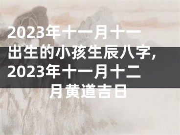 2023年十一月十一出生的小孩生辰八字,2023年十一月十二月黄道吉日