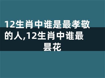 12生肖中谁是最孝敬的人,12生肖中谁最昙花