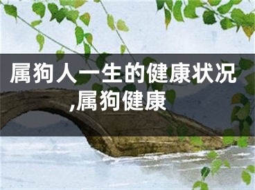 属狗人一生的健康状况,属狗健康