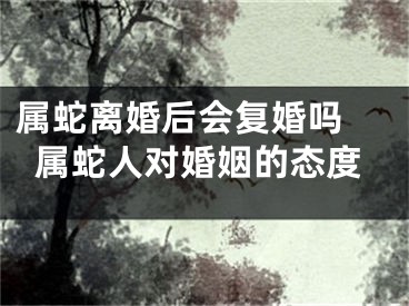 属蛇离婚后会复婚吗 属蛇人对婚姻的态度