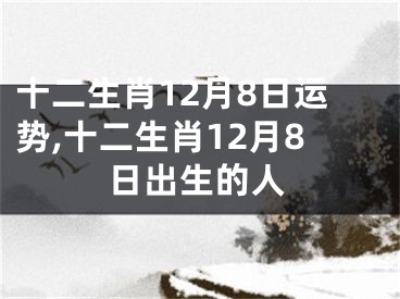 十二生肖12月8日运势,十二生肖12月8日出生的人