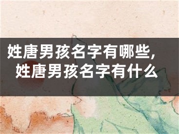 姓唐男孩名字有哪些,姓唐男孩名字有什么
