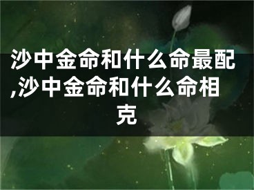沙中金命和什么命最配,沙中金命和什么命相克