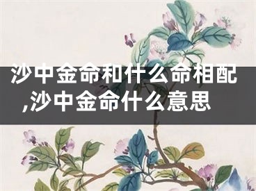 沙中金命和什么命相配,沙中金命什么意思