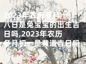 2023年农历冬月十八日是兔宝宝的出生吉日吗,2023年农历冬月初一是黄道吉日吗