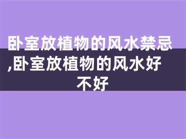 卧室放植物的风水禁忌,卧室放植物的风水好不好