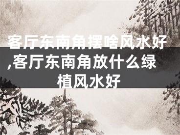 客厅东南角摆啥风水好,客厅东南角放什么绿植风水好