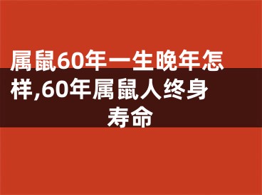 属鼠60年一生晚年怎样,60年属鼠人终身寿命