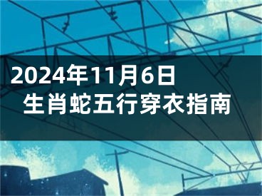 2024年11月6日生肖蛇五行穿衣指南