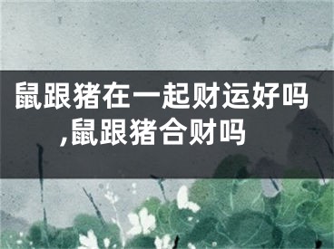 鼠跟猪在一起财运好吗,鼠跟猪合财吗