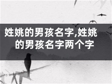 姓姚的男孩名字,姓姚的男孩名字两个字