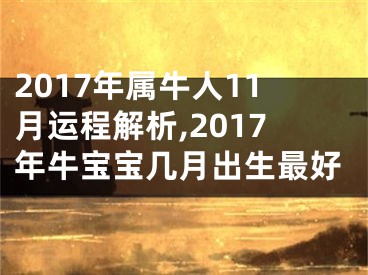 2017年属牛人11月运程解析,2017年牛宝宝几月出生最好